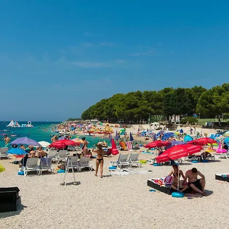 Marija Jug פרימוסטן